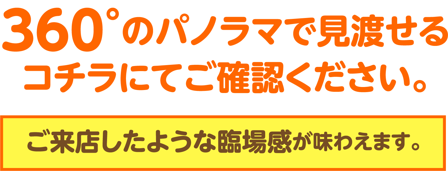 chi様確認用 chi様確認用 ハチ様確認用 DR ZX Diagnostic Tool/