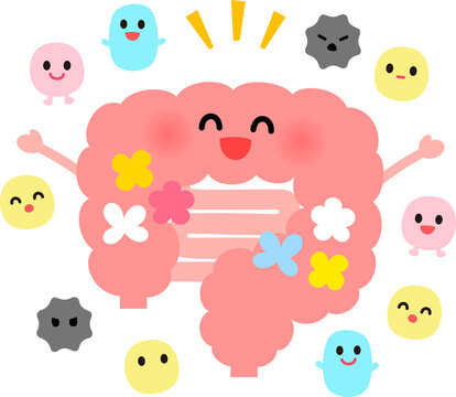 元気な腸内環境のイラスト
